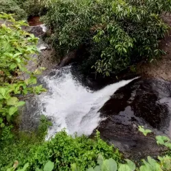 Aruvikkuzhi Waterfalls - Kottayam