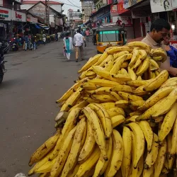 Kottayam Market - Kottayam