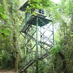 Kumarakom Bird Sanctuary - Kottayam