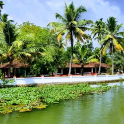 Kumarakom Bird Sanctuary - Kottayam