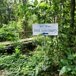 Kumarakom Bird Sanctuary - Kottayam