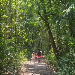 Kumarakom Bird Sanctuary - Kottayam