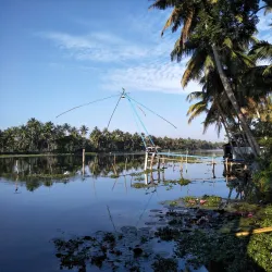 Kumarakom Bird Sanctuary - Kottayam