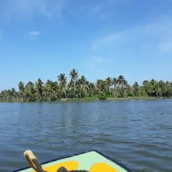 Kumarakom Bird Sanctuary - Kottayam