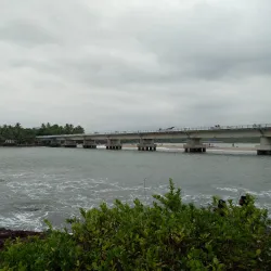 Kadalundi Bird Sanctuary - Kozhikode (Calicut)