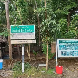 Kadalundi Bird Sanctuary - Kozhikode (Calicut)