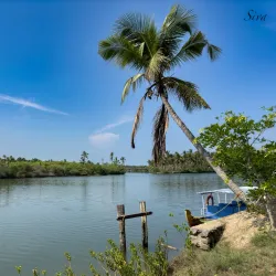 Kadalundi Bird Sanctuary - Kozhikode (Calicut)