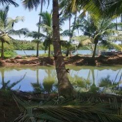 Kadalundi Bird Sanctuary - Kozhikode (Calicut)