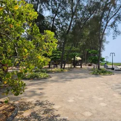 Kozhikode Backwaters - Kozhikode (Calicut)