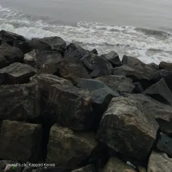 Kozhikode Backwaters - Kozhikode (Calicut)