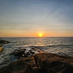 Kozhikode Backwaters - Kozhikode (Calicut)