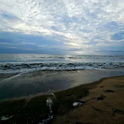Kozhikode Beach - Kozhikode (Calicut)