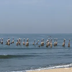 Kozhikode Beach - Kozhikode (Calicut)