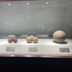 Kozhikode Pazhassi Raja Museum and Art Gallery - Kozhikode (Calicut)