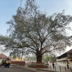 Tali Temple - Kozhikode (Calicut)