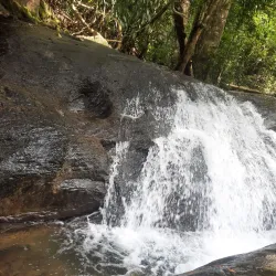 Thusharagiri Waterfalls - Kozhikode (Calicut)