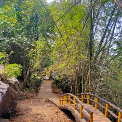 Thusharagiri Waterfalls - Kozhikode (Calicut)