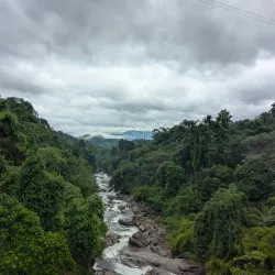 Thusharagiri Waterfalls - Kozhikode (Calicut)