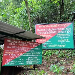 Thusharagiri Waterfalls - Kozhikode (Calicut)