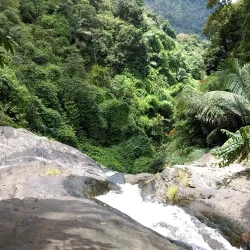 Thusharagiri Waterfalls - Kozhikode (Calicut)