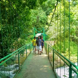 Thusharagiri Waterfalls - Kozhikode (Calicut)