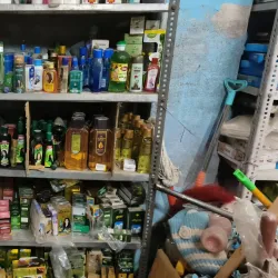 Lahar Market - Lahar