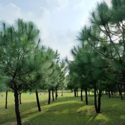 Janeshwar Mishra Park - Lucknow (Lakhnau)