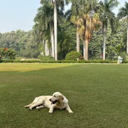 La Martiniere College - Lucknow (Lakhnau)