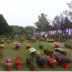 Nehru Rose Garden - Ludhiana