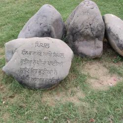 Punjab Agricultural University Museum - Ludhiana