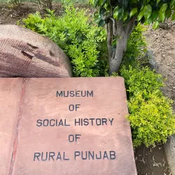 Punjab Agricultural University Museum - Ludhiana