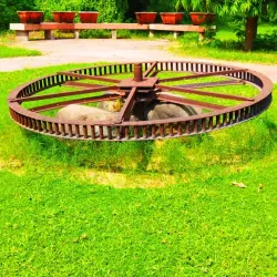 Punjab Agricultural University Museum - Ludhiana