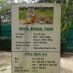 Tiger Safari Zoo - Ludhiana