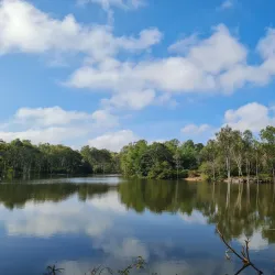 Devarayanadurga Wildlife Sanctuary (Nearby) - Madhugiri