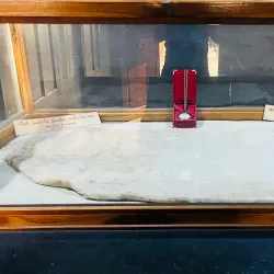 Gandhi Memorial Museum - Madurai