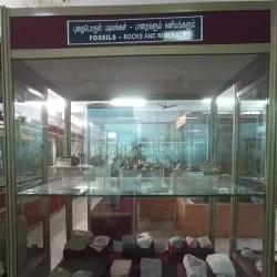 Madurai Government Museum - Madurai