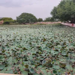 Samanar Hills - Madurai