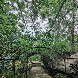 Adyanpara Waterfalls - Malappuram