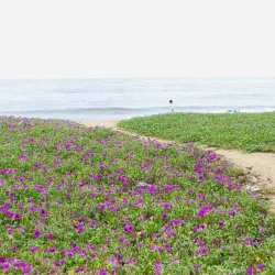 Cheriyamundam Beach - Malappuram