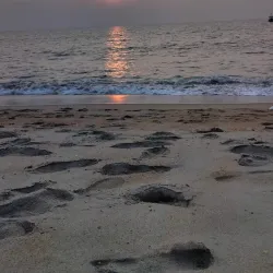 Cheriyamundam Beach - Malappuram
