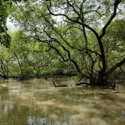 Kadalundi Bird Sanctuary - Malappuram