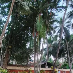 Kottakkal Arya Vaidya Sala - Malappuram