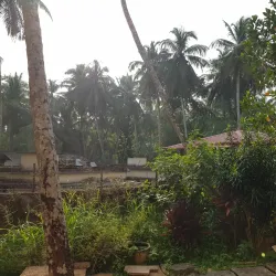Kottakkal Arya Vaidya Sala - Malappuram