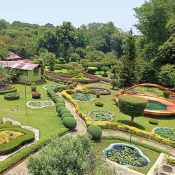 Nilambur Teak Museum - Malappuram