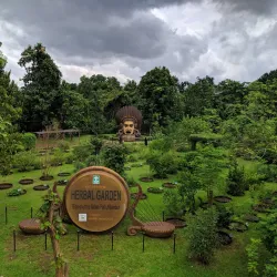 Nilambur Teak Museum - Malappuram