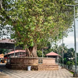 Thirunavaya Temple - Malappuram