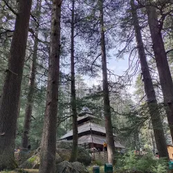 Hadimba Temple - Manali