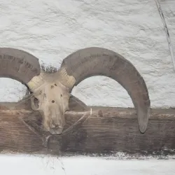 Hadimba Temple - Manali