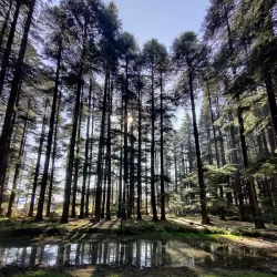 Hadimba Temple - Manali