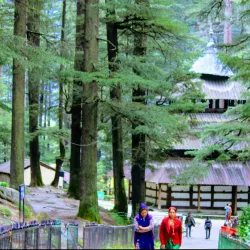 Hadimba Temple - Manali